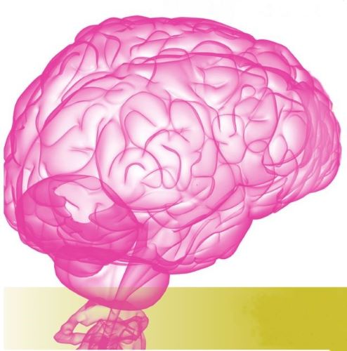 37th Annual PAN Philadelphia Neurosurgery Conference Banner